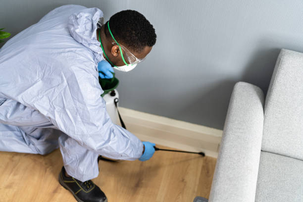 Real Estate Pest Inspections in Summerside, OH